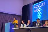 Stable CAD Plaque Morphology Improved by PCSK9 Inhibitors: YELLOW III 